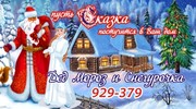 Дед Мороз и Снегурочка. Пусть сказка постучится в Ваш дом!!! от 500руб